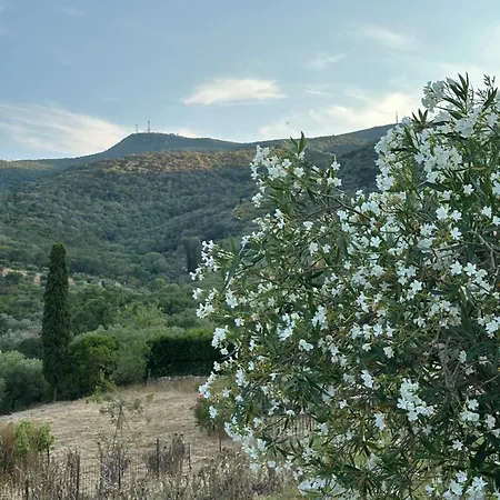 Casa Nel Cuore Di Monte Argentario Διαμέρισμα