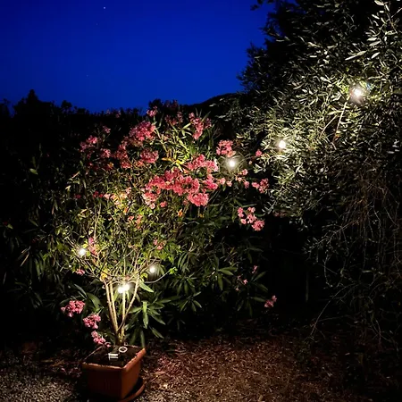Casa Nel Cuore Di Monte Argentario Διαμέρισμα Porto Ercole (Grosseto)