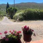 La Ghiandaia
